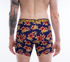 Boxer Briefs - Hibby Horny Demon Men's Underwear