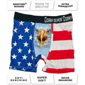 American Eagle Boxer Briefs