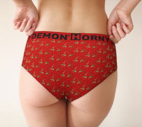 Cheeky Briefs - Cheetah Red Horny Demon Women's Underwear