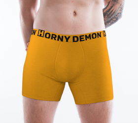 Boxer Briefs - Sunset Horny Demon Men's Underwear