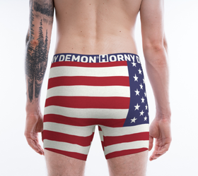 Boxer Briefs - American Flag Horny Demon Men's Underwear