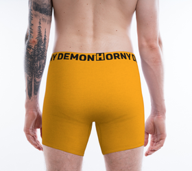 Boxer Briefs - Sunset Horny Demon Men's Underwear