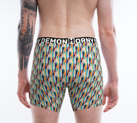 Boxer Briefs - Springs Horny Demon Men's Underwear