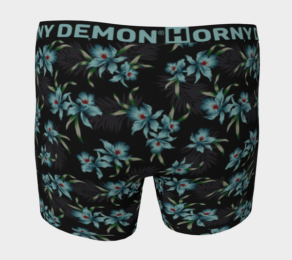 Boxer Briefs - Tibby Horny Demon Men's Underwear - HMC Brands