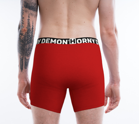 Boxer Briefs - Bear Red Horny Demon Men's Underwear
