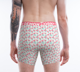 Boxer Briefs - Flamingos Horny Demon Men's Underwear